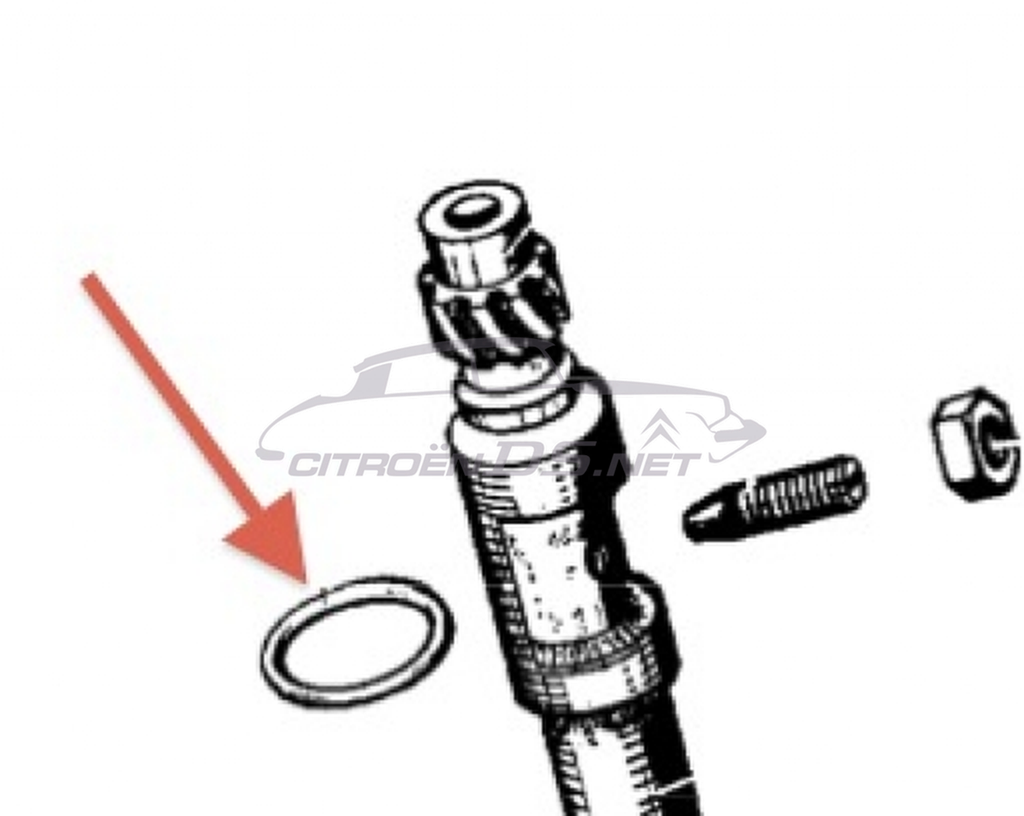 O-ring sul corpo pompa olio ( trasmissione), i.e.