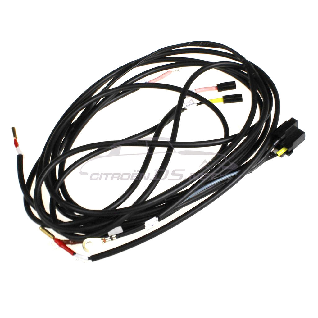 Wiring loom for fog lamps