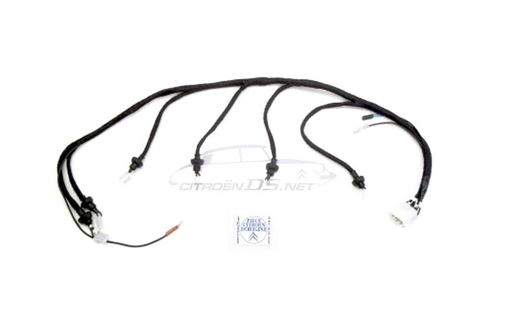 Wiring loom, injector harness, 12 pin, DS 21 EFi., 1969-04/1973
