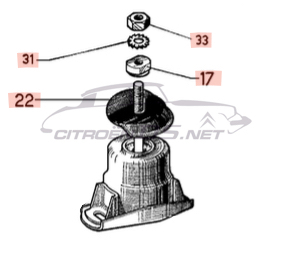 Kit di fissaggio + scudo termico supporto motore