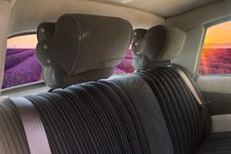Rear headrests for retrofitting