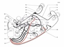 Return hose from front height corrector / brake valve, Rilsan 2x4, n.o.s.